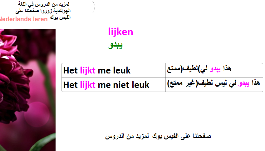تعرف معنا علي  lijken of Naar الجمل الهولندية