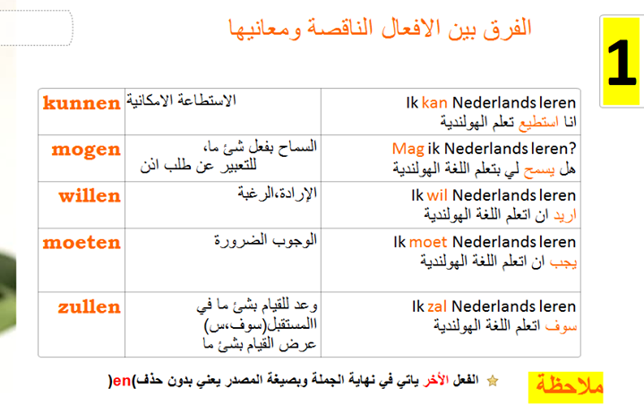 درسنا اليوم عبارة عن جمل في الحاضر والماضي وكلمات هولندية مهمة