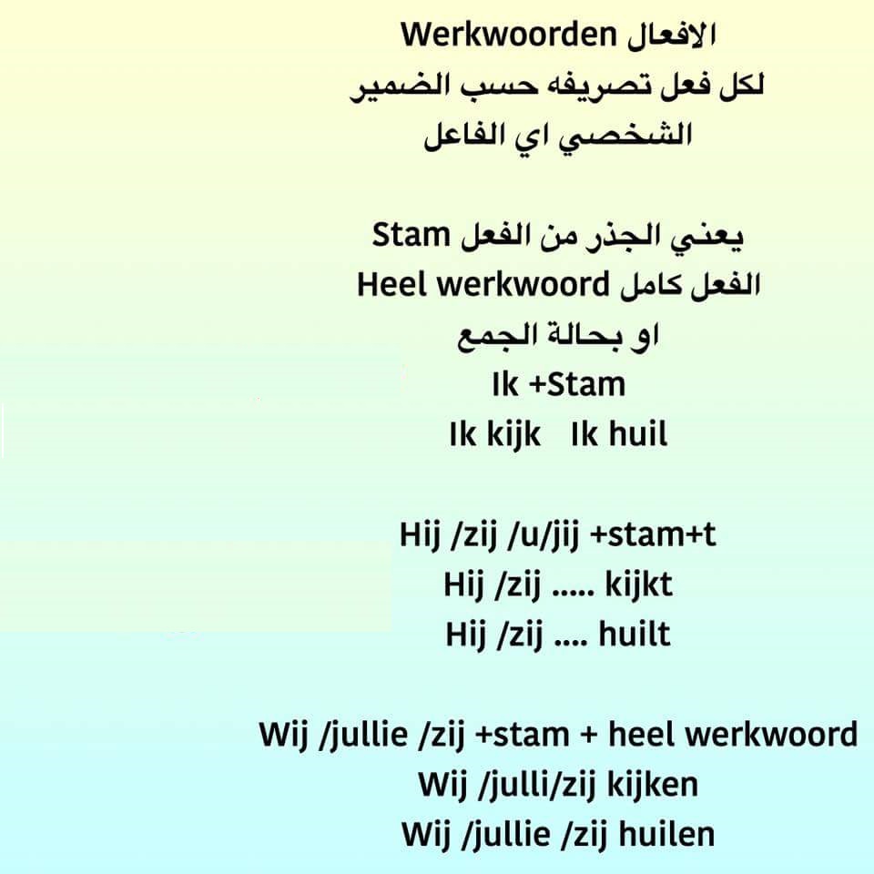 تعلم ضمائر الملكية في اللغة الهولندية “مهمة جدا”