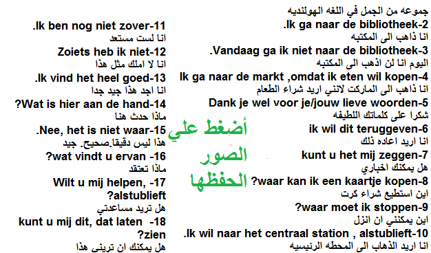 أكثر الجمل التي تستعملها  في اللغة الهولندية