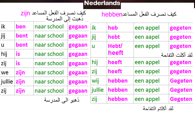 شرح ترتيب الجملة في زمن الماضي في اللغة الهولندية