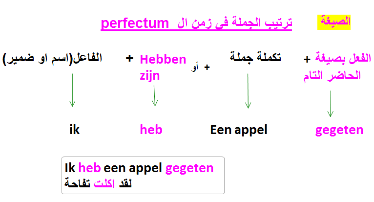 شرح ترتيب الجملة في زمن الماضي في اللغة الهولندية